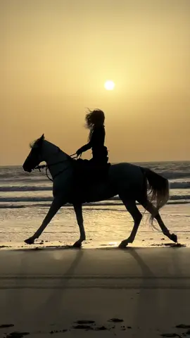 A dream sunset beach #horseriding #beachsunset #sunset #caballos #horsegirl #puestadesol 