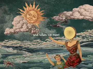 neutral milk hotel fans when opinionated apartment critics walk in #neutralmilkhotel #intheaeroplaneoverthesea #jeffmangum #collage #unicorns