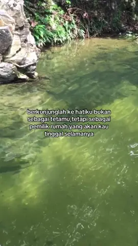 #xyzbca 