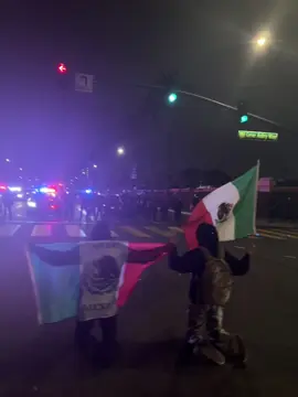 🇲🇽🇲🇽your voice matter🗣️ Mis padres pelearon por mi ahora yo pelearé por ellos #anaheim #protest