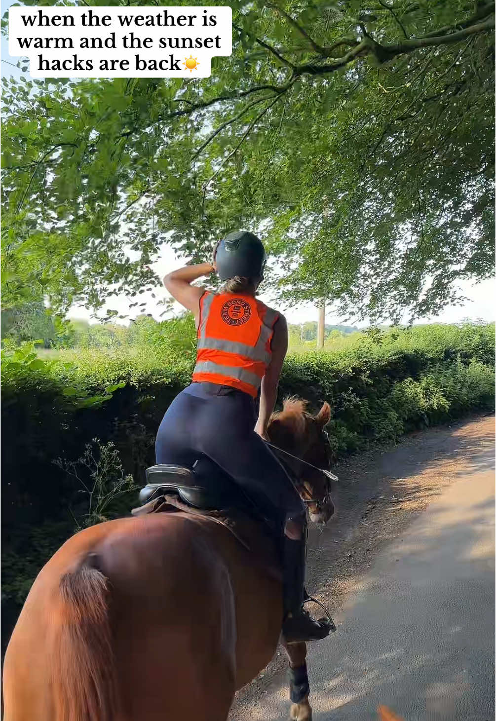 oh yes 💛 @liv #fyp #foryou #sunsets #horsegirl #summervibes 