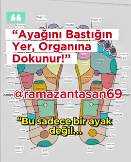 Hangi bölgeye bastığında rahatladığını yorumlara yaz! 👣 Kaydet – sonra lazım olacak. 📌 #fyp #foryou #viral #tiktoktr #trend #keşfet #keşfetteyiz #tiktokkeşfet  #beyinfırtınası #bilgilendirici #öğreniyoruz #merakettim #şokoldum  #dans #komedi #gülmekgaranti #şaka #eğlence #trendingdance #funnyvideos  #aesthetic #vibes #slowmotion #filmlook #sinematik  #girişimcilik #para #pasifgelir #gelirkapısı #zenginlik