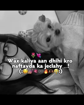 Uppp🤤💘💅🏽🫦#anuuyey🍁🇰🇷🌷 #Ommg💅🏽🌷 #Ovvvv💘🤤🔥 #cupcut #viwesproblem😔💔 #fypシ゚viral #somalitiktok #fypシ゚ #upppppppppppppppppppppp 