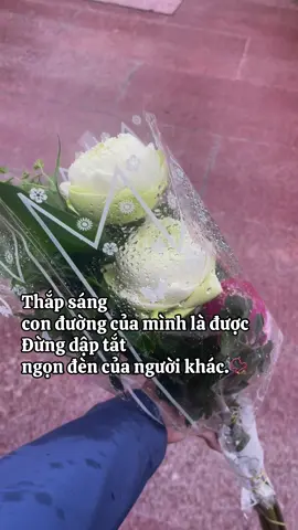 ...Không can thiệp vào cuộc sống của người khác cũng chính là một loại tu dưỡng. Trên con đường này, chẳng có đúng cũng chẳng có sai. Mỗi người một cuộc đời, vì vậy sẽ có sự lựa chọn khác nhau. Bạn không sống cuộc đời của người khác. Điều bạn thấy đúng, chưa chắc người khác cũng thấy vậy. Cho phép bản thân được sai, cho phép người khác được sai.🪷 #tamythanh #phatphap #phatphapnhiemmau 