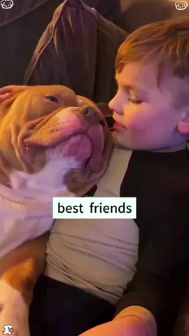 Dogs grow up with children#tiktok #Love #usaus #doglover#protect #baby #friend