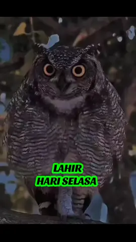 #fyp #spritual #mistis #selasa#pyp #sprituality #primbojawa #wetonjawa #rabuwage#seninwage#selasawage#kamiswage#jumaatwage#sabtuwage#mingguwage 