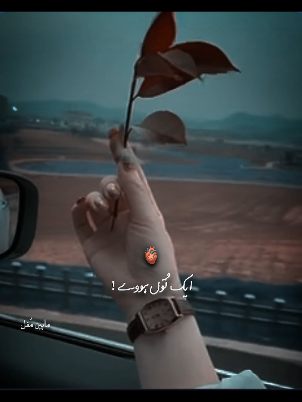 𝙀𝙠 𝙏𝙪 𝙃𝙤𝙬𝙖𝙞𝙣 𝙀𝙠 𝙈𝙚𝙞𝙣 𝙃𝙤𝙬𝙖𝙣~🫣🫂❤️🌎~#rtthf❤️✅ #repost #status #saraiki #fypviral #growaccount #trendingvideo #foryoutrick #fypviralシ #loveyou #foryoupageofficial #whatsappstatus #foryou #trendingsong #lovestatus 