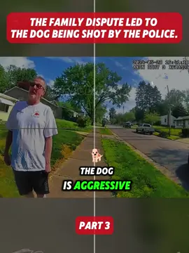 Part 3 #bodycam #cops #viralvideo #policeofficer #trending #fouryou 