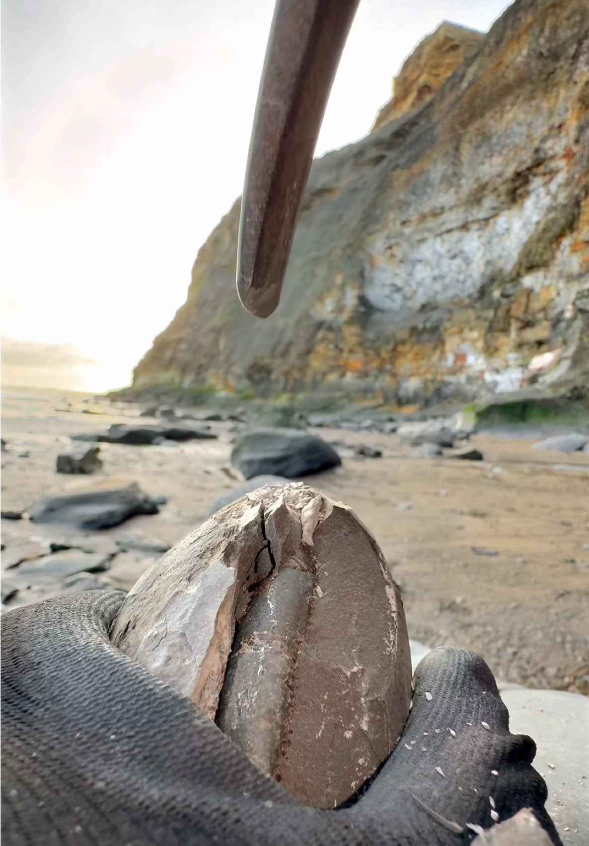 We found this hidden under a huge boulder! 🏝️ This must have been buried by the boulder many tides ago 🌊 Hopefully we make another exciting find like like this one soon! 🌅🏝 Thanks for supporting our page! 🐊 #natural #nature #fossil #fossils #ancient #animals #art #ammonite #ammonites #dinosaur #scientist  #minerals #paleontology #whitby #geologist #dorset #geology #charmouth #jurassic #yorkshire #fyp