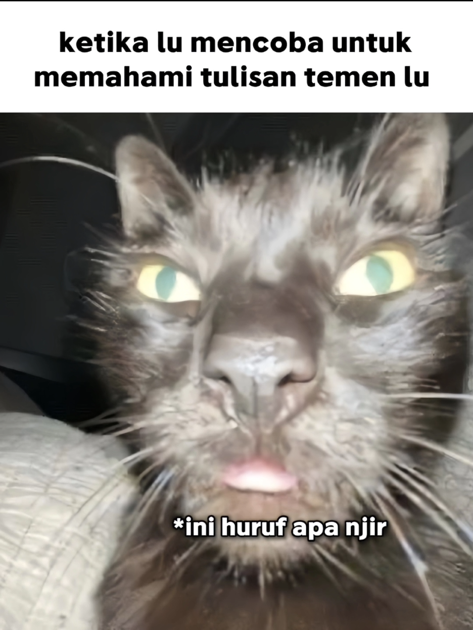 fr for real 🤭  #real #asli #relatable #meme #fypシ #zxycba 