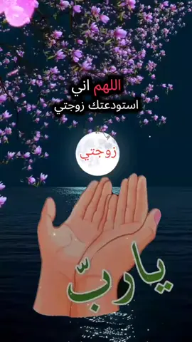 #زوجتي_حياتي #الغالية_ربي_يحفضها_ويطول_في_عمرها #كلام_من_ذهب #دعاء_يريح_القلوب #حفظكم_الله_ورعاكم_ونصركم_وأعزّكم_ #المغرب🇲🇦 