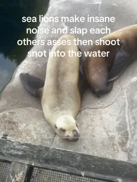 normal day for me