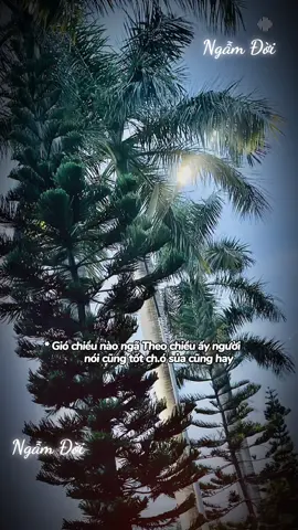 #CapCut #ngẫmđời 