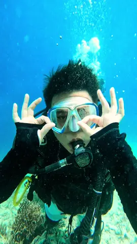 🎵 Lagu Justin Bieber versi Banggai? YES! Kita bikin transisi dari baju santai ke scuba gear 🩱🤿 Terus langsung nyebur diving di laut Banggai Laut yang beningnya bikin lupa 😆 Tungguin ya videonya—bakal viral! 🔥 #BanggaiVibes #ScubaStyle #JustinBieberChallenge #DariBanggaiUntukDunia #SulawesiTengahHits @satria @amateur videos 