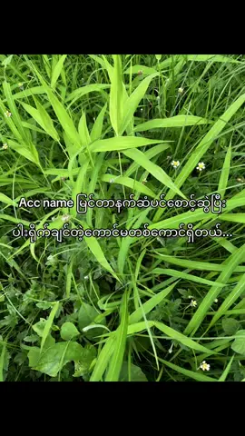 ဝိုင်းရိုက်ပေးမယ်ဆိုပြောပြမယ်#fypシ゚ #viral #fyp #foryou #foryoupage #tiktokmyanmar #ရောက်ချင်တဲ့နေရာရောက်👌 