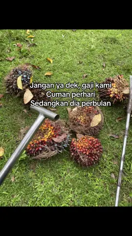 #katakata #fypage #kulisawit #anakpetanisawit #sawitontiktok #lewatberanda #fypdonggggggggg #katakatabijak #katakatastorywa_ 