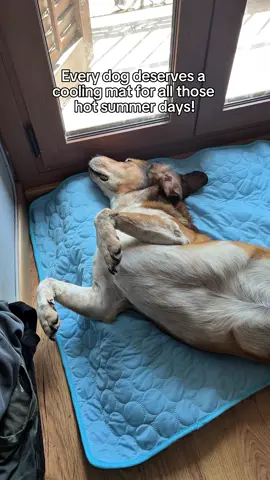 My dog LOVES his cooling mat. It's portable, machine washable and reversible so the other side can be used in the winter. keep your dogs cool this summer with this high quality, affordable cooling mat. They deserve it! #summerdog #dog #dogs #dogproducts #dogcoolingmat #coolingmat