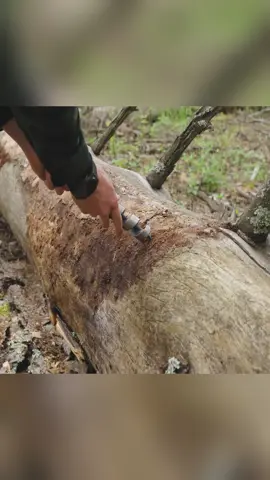 #survival #bushcraft #camping #survivalskills #camp 