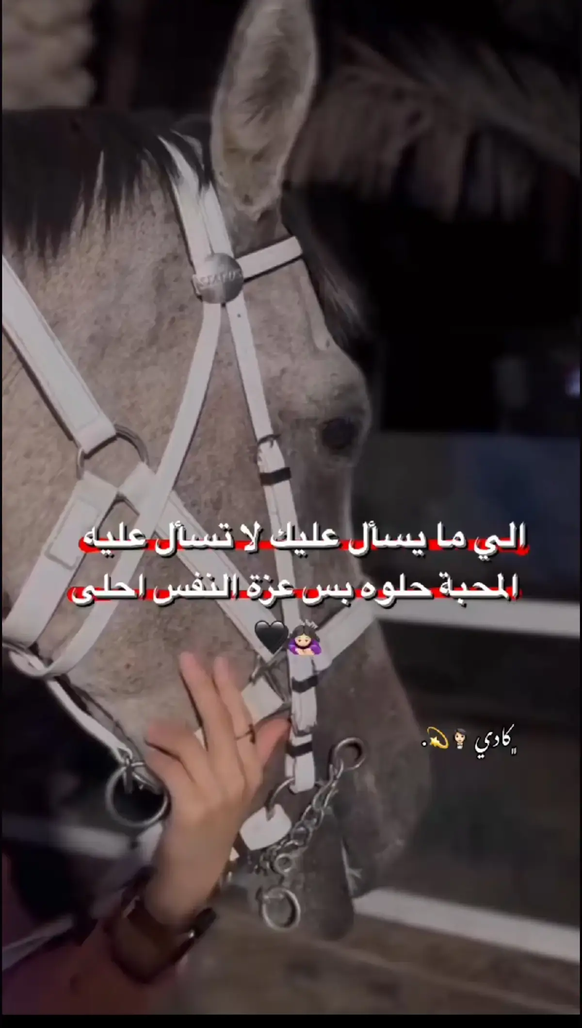 #عباراتكم #متابعه #اكسبلور  🥀🥺💔💔💔💔💔💔💔