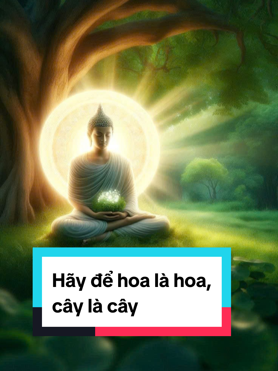 Hãy để hoa là hoa, cây là cây. #fyp #viral #trending #xuhuong #phatphapnhiemmau #danhthucbanthan  #truyencamhung