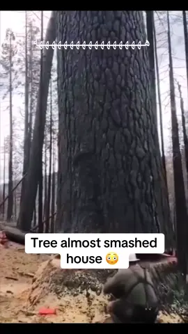 😭😭😭 send this to 3 friends. #jumpscared #funnyvideos 