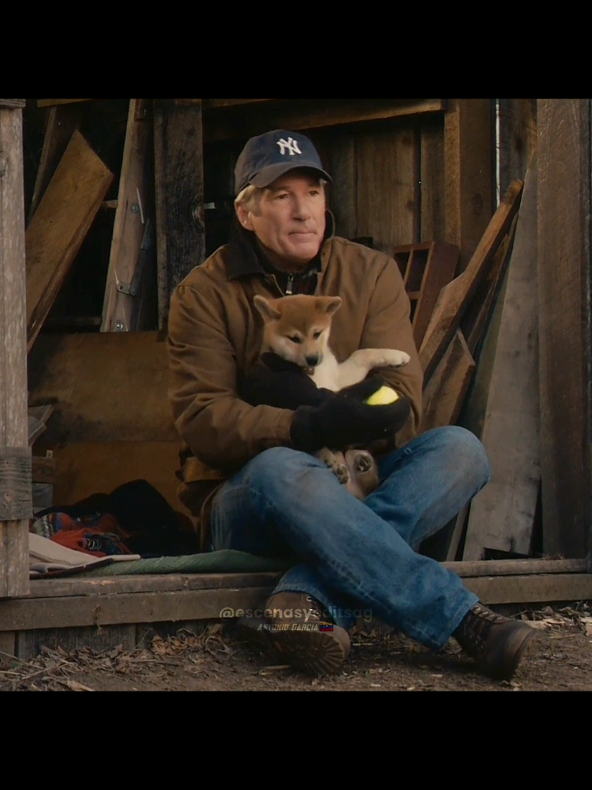 Película 🎬: Hachiko, Siempre A Tu Lado #hachiko #hachikoadogstale #siempreatulado #richardgere #perros #mascotas #pelicula #edits #edit #perrofiel #peliculasrecomendadas #sad #fyp #parati #viral 