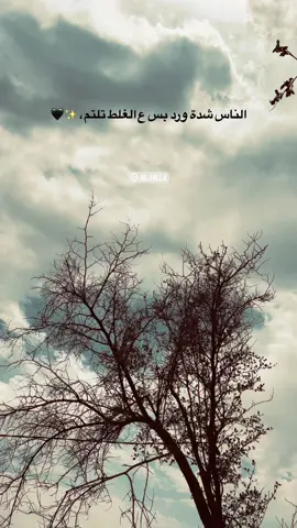عبارات للفيديو 🌱🖤 #لايك_متابعه_اكسبلور #اكسبلورexplore #عبارات_فخمه📿📌 #شعر_عراقي #شعراء_وذواقين_الشعر_الشعبي #سمير_صبيح #explore #تصويري📷 #الحله_بابل_العراق #سين #عبارات_جميلة_وقويه_اقتباسات_هلوسات #سعد_شميل #اياد_عبدالله_الاسدي #جبار_رشيد #نور_اللامي #مهيمن_الامين #عبارات 
