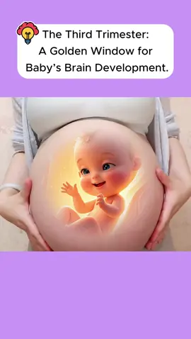 The Third Trimester: A Golden Window for Baby's Brain Development. #pregnancy #pregnant #pregnancyjourney #pregnantbelly #pregnantlife #momtobe #fetus #foryou #LearnOnTikTok #parents #mompregnant #viralvideo #pregnanttiktok 