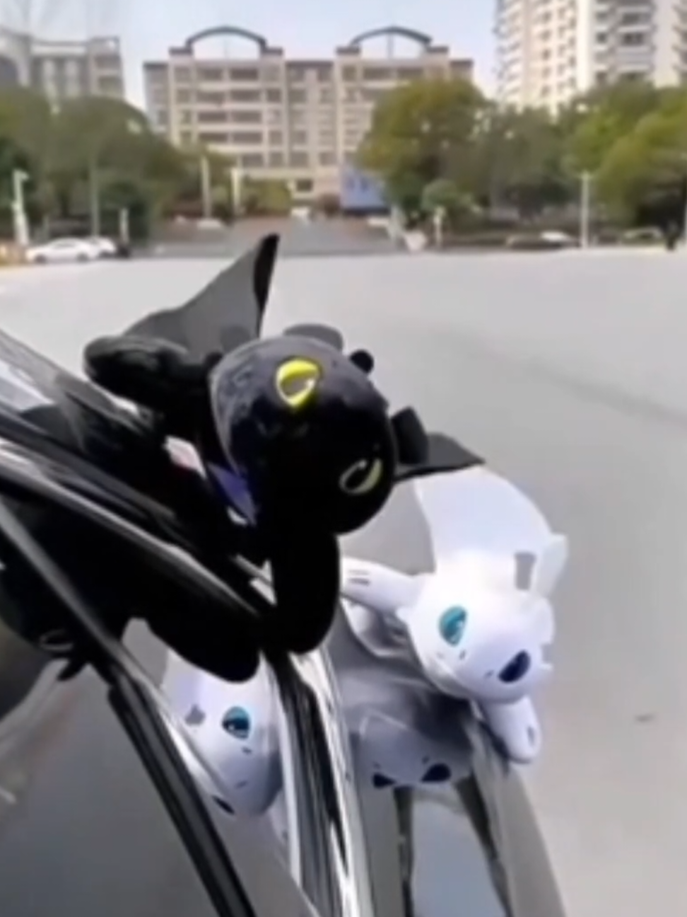 🐉✨ ¡LLEGARON LOS DRAGONES A TU AUTO! ✨🐉 ¿Team Chimuelo o Furia Luminosa? 🖤🤍 Estos peluches decorativos para carro están listos para acompañarte en cada aventura 🚗💨 ❤️ Suaves, adorables y 100% mágicos 🧸 Perfectos para colgar o poner en el tablero 🎁 ¡El regalo ideal para fans de Cómo entrenar a tu dragón! 📩 Pide los tuyos por DM 📍 Envíos a todo México 🇲🇽 #DiviléCups #Chimuelo #CómoEntrenarATuDragón #PeluchesParaCarro #CarroCute #TikTokMéxico #DecoraciónDeAuto #FuriaLuminosa #regaloperfecto 