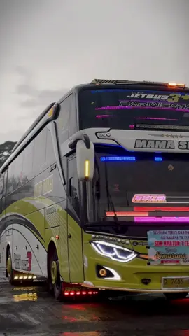 Yellow sexy💛 #nafittrans #buspariwisata #cinematicbus #storybus #busviral #busindonesia #nafittransmamasexy #masukberanda 