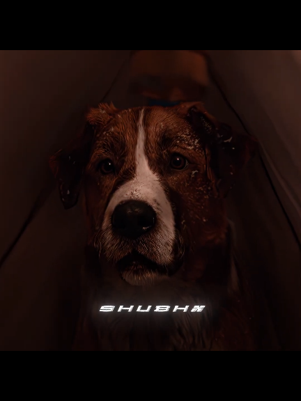 HE IS NOTT JUST A LEADER, HE IS A BROTHER | CALL OF THE WILD x BUCK EDIT | Камин - slowed & reverb #callofthewild #buckthedog #sadanimal #heartbreaking #dogloyalty #buckjourney #dogbond #dogbonding #truefriends #sadstatus #sadstory #dogshorts #dogmovie #dogs #emotionaledit #emotionalstory #movieedit
