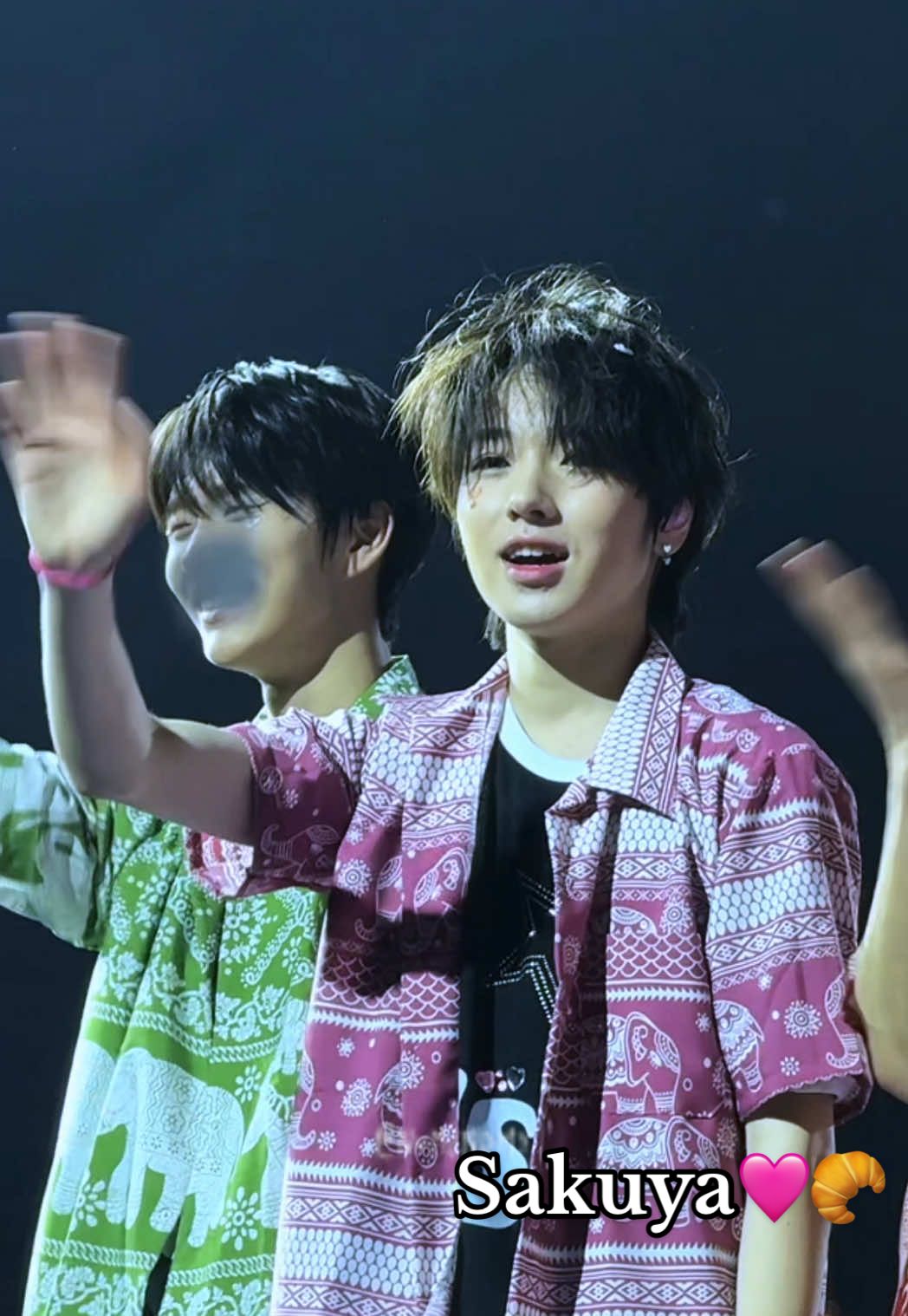 ใครใส่ปุ๋ยเร่งโตให้น้องซาคุยะคะ?🥹🤏🏻🩷🥐 #사쿠야 #サクヤ #SAKUYA #nctwish #NCTWISH_ASIA_TOUR #NCTWISH_LOGinBANGKOK 