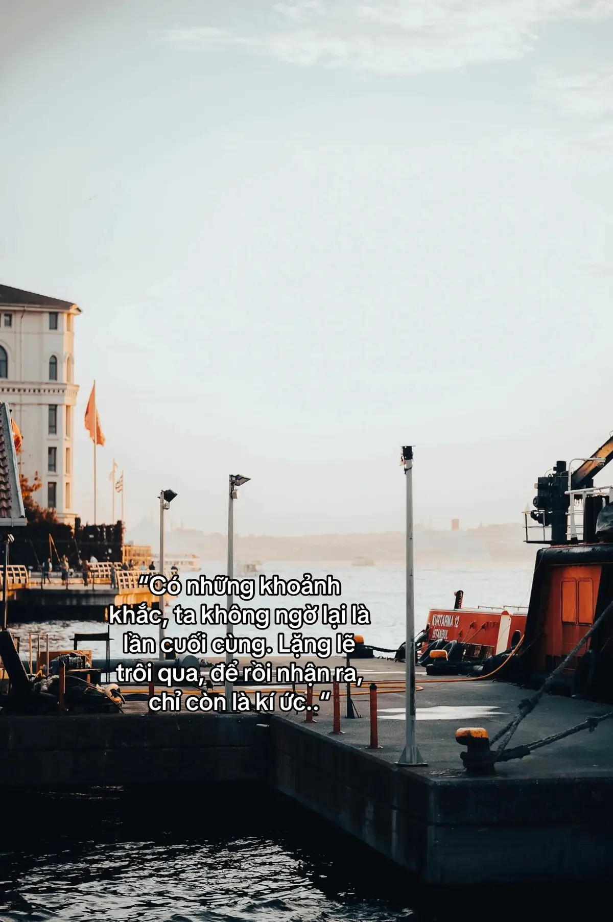 “Có những khoảnh khắc, ta không ngờ lại là lần cuối cùng. Lặng lẽ trôi qua, để rồi nhận ra, chỉ còn là kí ức..”#viral #xuhuong #fypppp #fbtxuhuong #tamtrang 