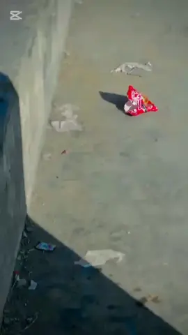 ♥️🥰🥰#videoviral #viralvide #viralvide #videoviral #fyppppppppppppppppppppppp @乂❤🅱🅰🅲🅷🅰 🆂🅰🅱乂❤ @🍁Waqar Bacha🍁 @➳ᴹᴿ᭄Talha Bacha ✭✭ 