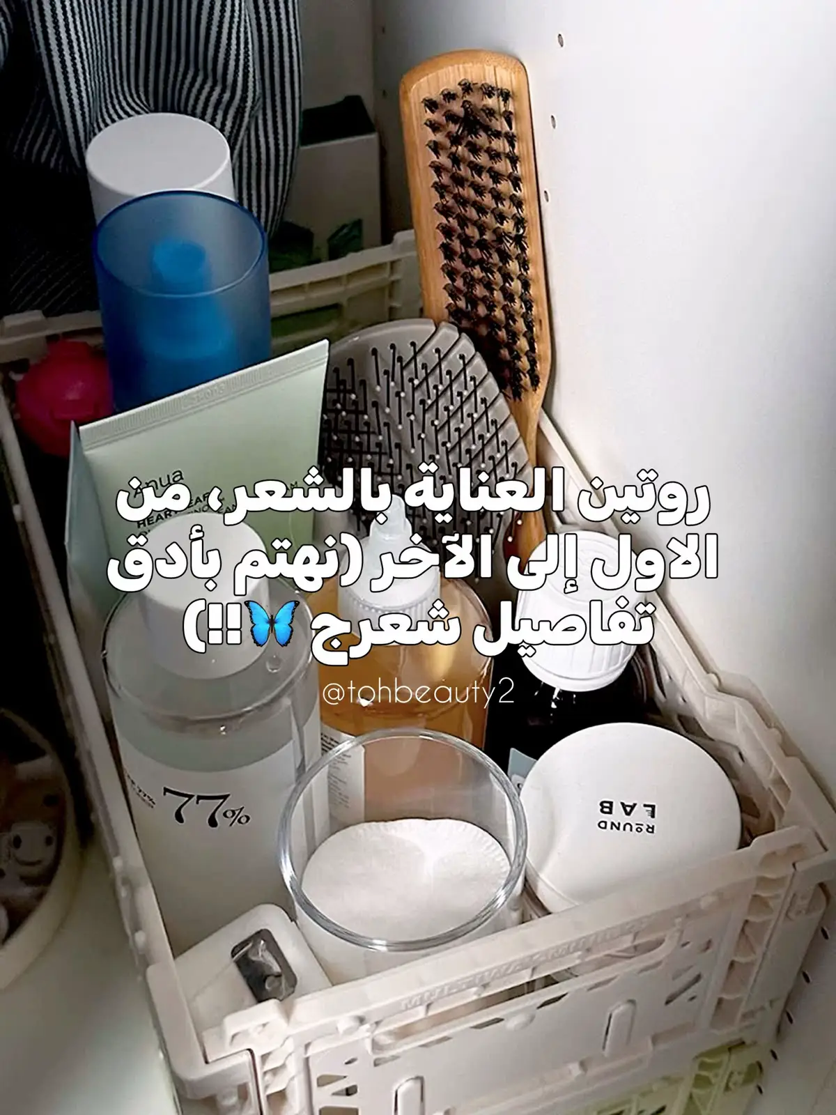 دال ظاء ياء، يا باسط يا جواد يا الله 🦋 #سكن_كير #اكسبلور #العراق #شعر #روتين_شعر #اهتمام_بالشعر #عناية_بالشعر #الشعب_الصيني_ماله_حل😂😂 #skincare #explore #iraq 
