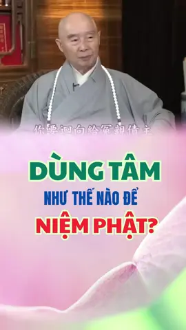 Nguyện cho ai thấy nghe đều chuyên trì niệm câu Phật hiệu A Di Đà Phật 🙏🙏🙏 #adidaphat #adidaphat #adidaphat #phatphapnhiemmau #anchay #giugioi #tuhanh #ansutinhkhong #kinhdiatangbotatbonnguyen #kinhdiatang #kinhvoluongtho #phapsutinhkhong 
