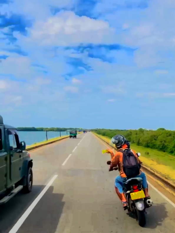 Travels  Brothers ❤️😍✈️🏍️🚀🌎 #viral #trending #poson #🏍️ #😍❤️ #udawalawa #bike #fz #fzv2 #dam #brothers 
