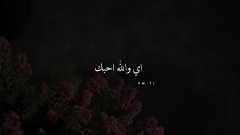 اي والله احبك #اكسبلور #جبراتت📮١6 #مالي_خلق_احط_هاشتاقات #تصميم_فيديوهات🎶🎤🎬 #شيلات_فخمة❤️ #شيلات_فخمة❤️ #شيلات 