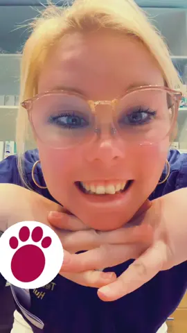 Nach dem Urlaub ist vor dem Urlaub 💁🏼‍♀️#tierarztpraxis #work #Job #tmfa #lovemyjob #veterinarian #vetlife #tfa #vetassistant #vetdoc 