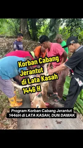 Korban di Lata Kasah 