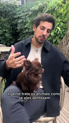 #pet #comportamento #amor #cachorro #sentimento