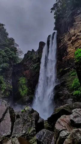 සැනසීම 💚 #waterfall #natural #rain #lakshapana_waterfall #srilanka #vairal 