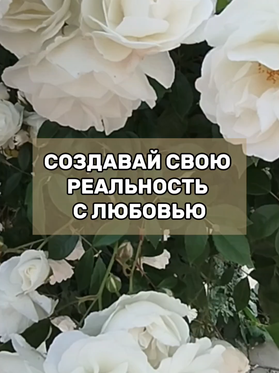 #аффирмации #позитивноенастрой #законпритяжения #думайчтоговоришь 