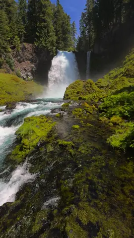 Looking past the crystal clear creek and vibrant green moss to uncover a magnificent waterfall gushing into the canyon below. Surrounded by lush forest, rushing water, and the soft textures of moss-covered rock, this peaceful yet powerful moment captures the untamed beauty of Oregon’s wild landscapes. It’s scenes like this that make the Pacific Northwest feel like pure magic 😍