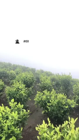 Si aquí estamos de paso 🥷🏻🇨🇴