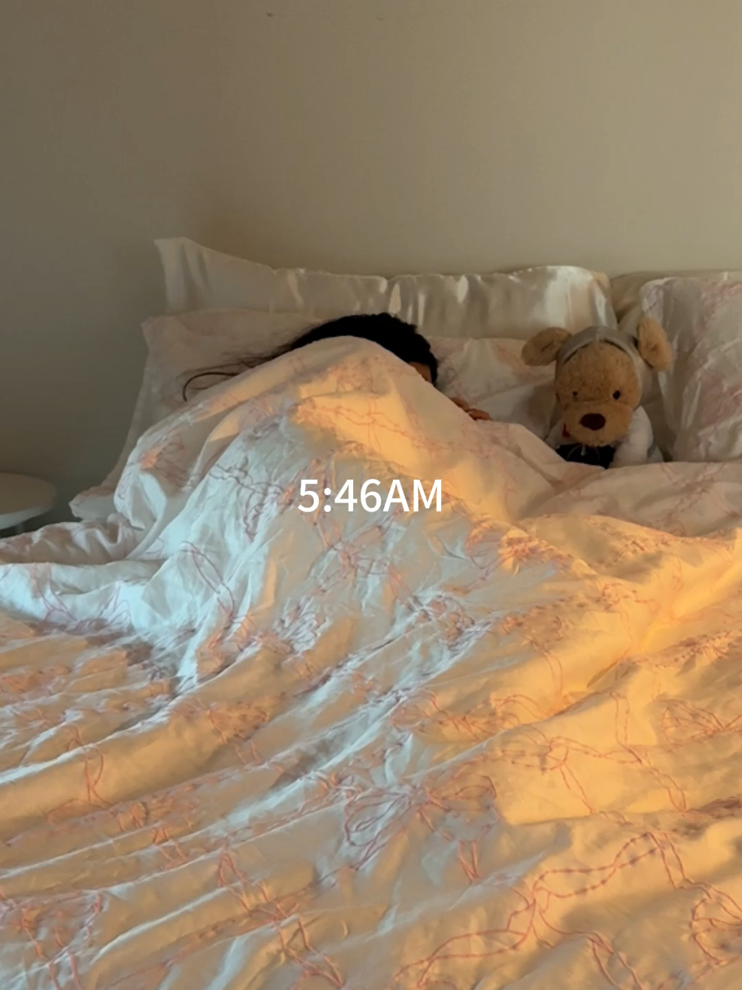 🧴GRWM for a 5am *realistic* morning routine and let's look forward to the upcoming summer weekend☁️  #Vlog #skincare #grwm #skincareroutine #foryou #foryoupage #usa #college #collegelife #bostonlife #newyork #explore #fyp #motivation #dailyvlog #asmrsounds #aesthetic #productivity