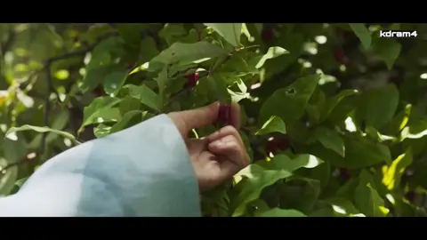 بەشی ٥٣/#درامای_وڵاتەکەم 