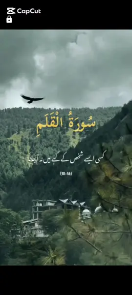 Lagae bhujae krny wala#followmyyoutbechannelhinaqureshi9804 #tiktokviraltrending #unfrezzmyaccount #trending?videos🔥fyp📣foryou #followme #CapCut 