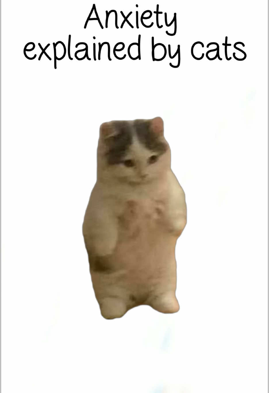 Anxiety explained by cats #catanimation #anxiety 