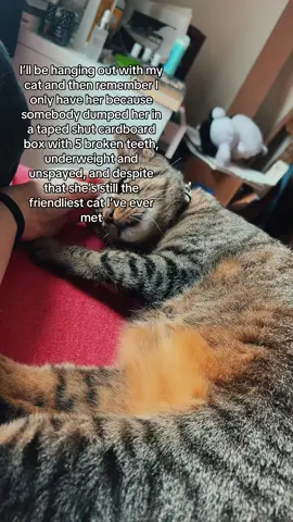 now she gets to be happy and healthy inside and she had a big dumb belly i love her so much